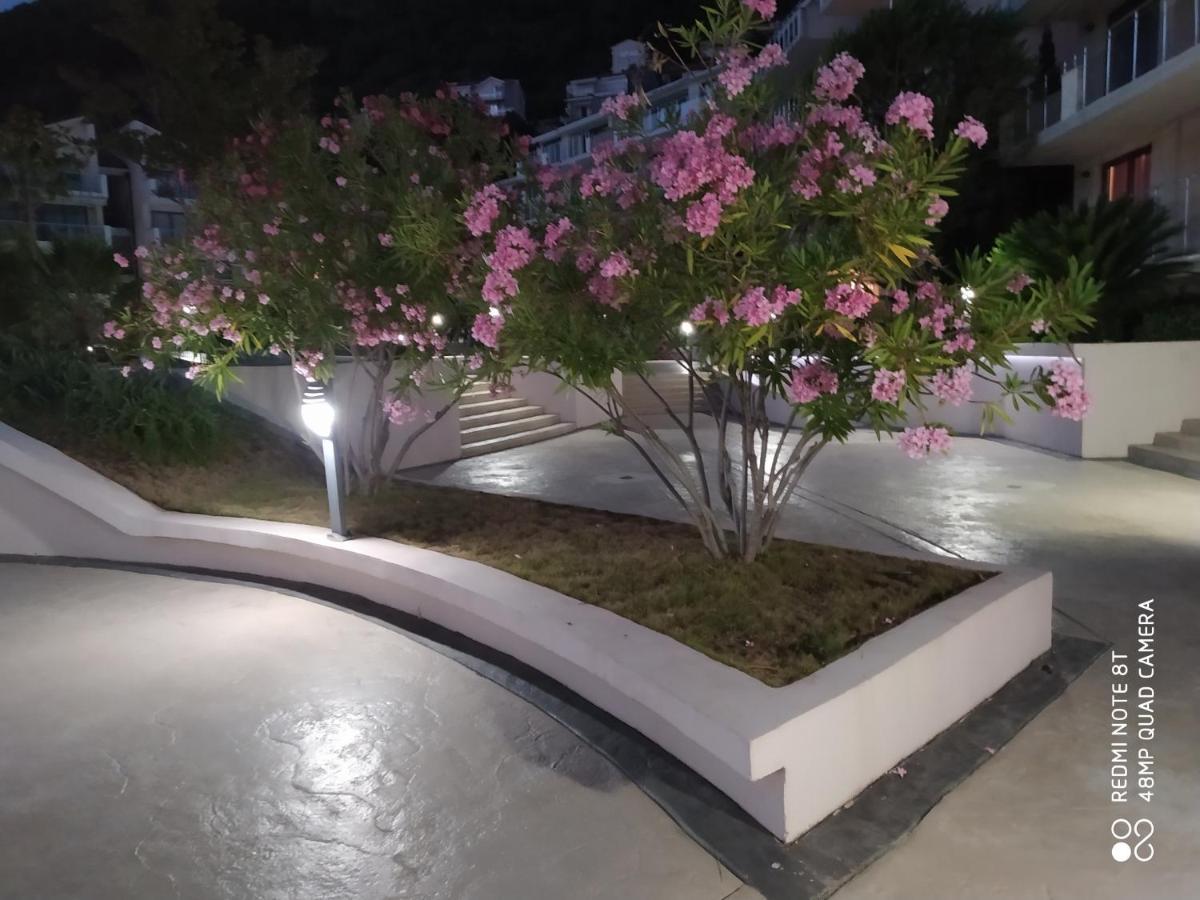 Jadran- Przno Apartment Budva