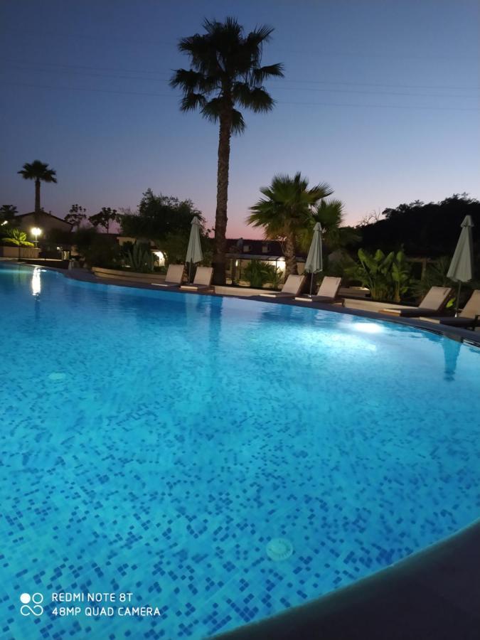 Apartman Jadran- Przno Budva